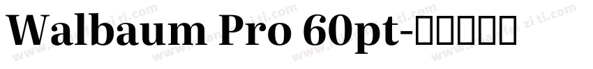 Walbaum Pro 60pt字体转换